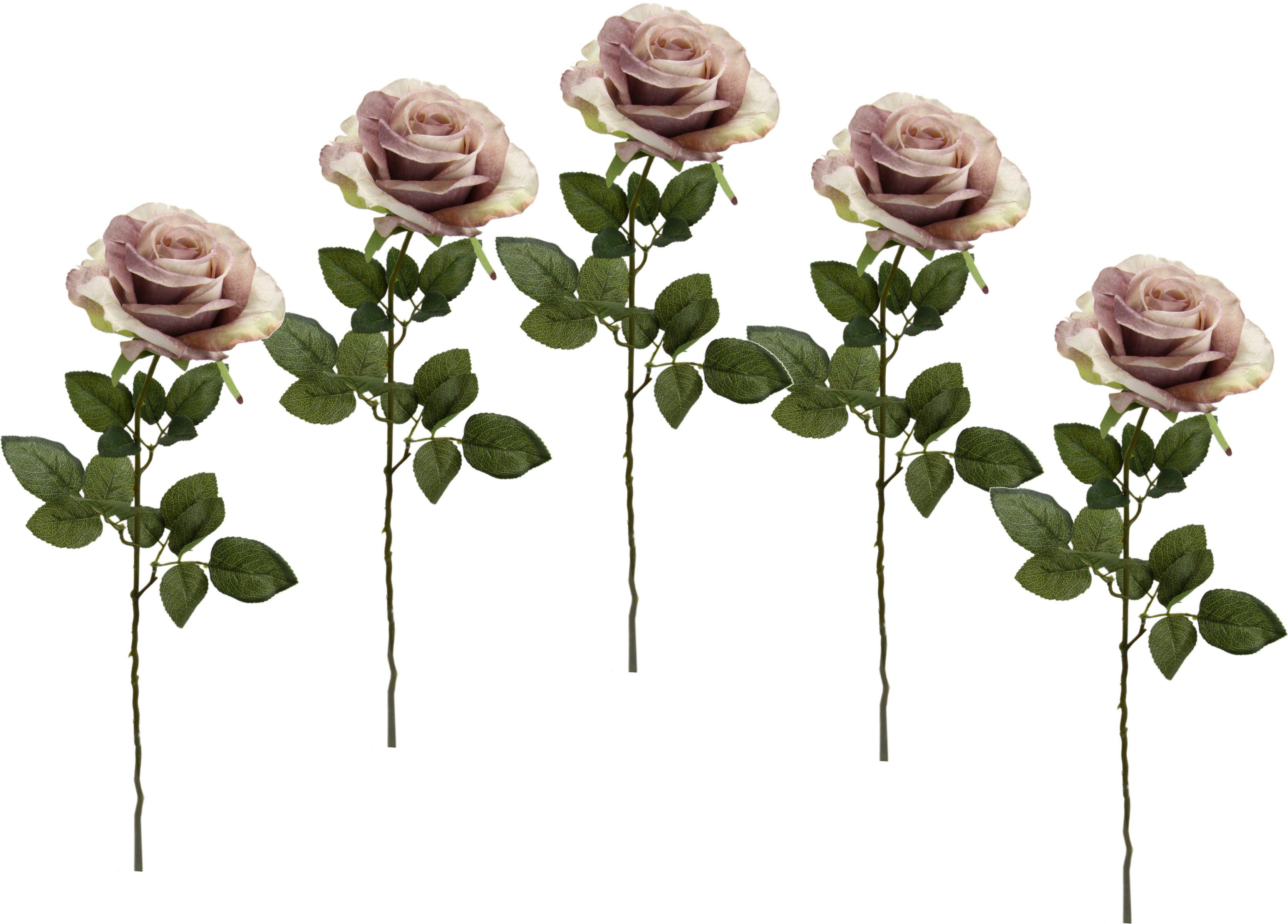 Kunstblume Rose, I.GE.A., Höhe 68 cm, 5er Set mauve | Kunstblumen