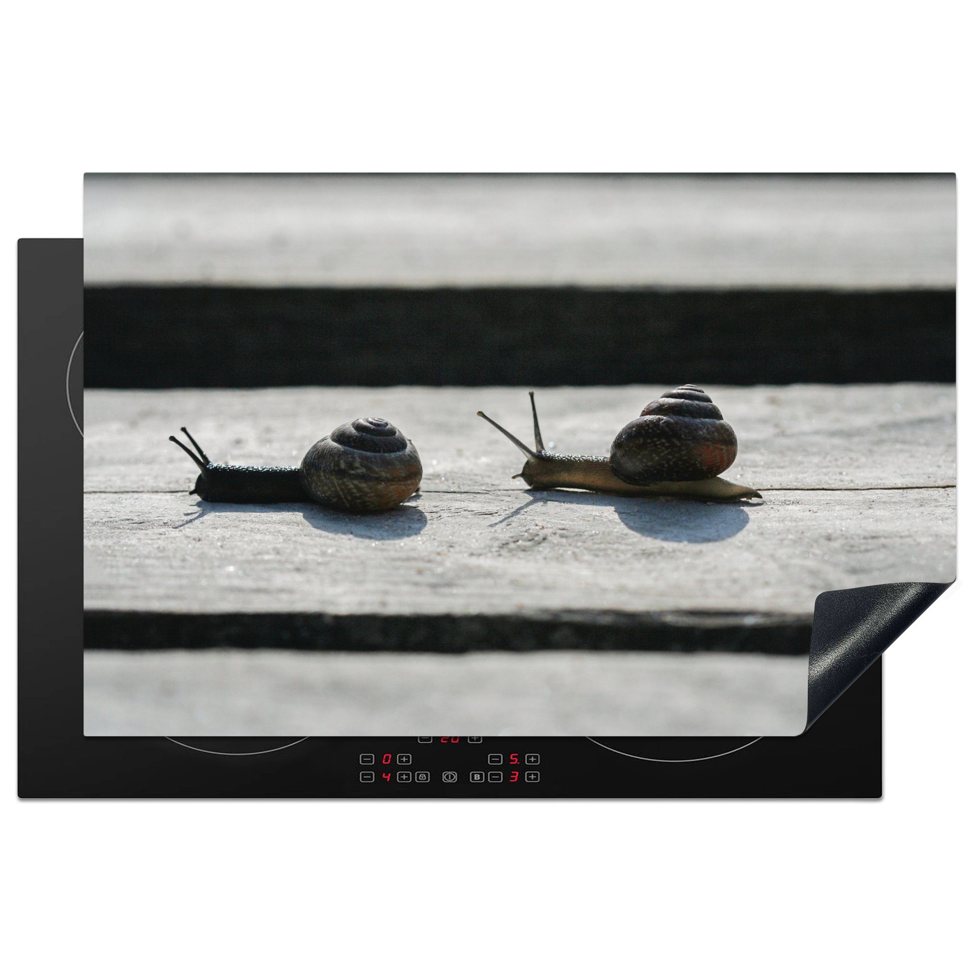 MuchoWow Herdblende-/Abdeckplatte Zwei Schnecken auf Holz, Vinyl, (1 tlg), 81x52 cm, Induktionskochfeld Schutz für die küche, Ceranfeldabdeckung