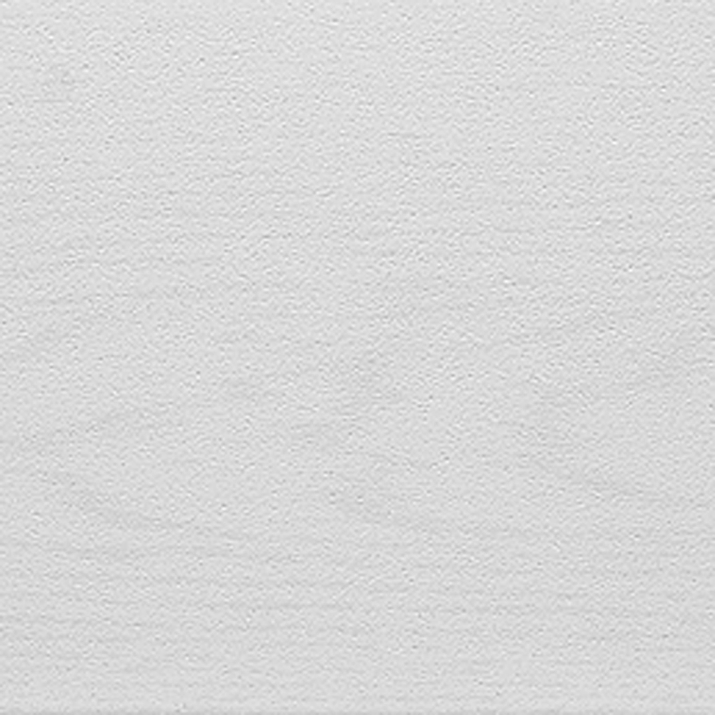 Decosa Deckenpaneel Decosa Deckenpaneele AP 305, weiß, 100 x 16,5 cm - 05 Pack (10 qm), BxL: 16.5x100 cm, 2 qm