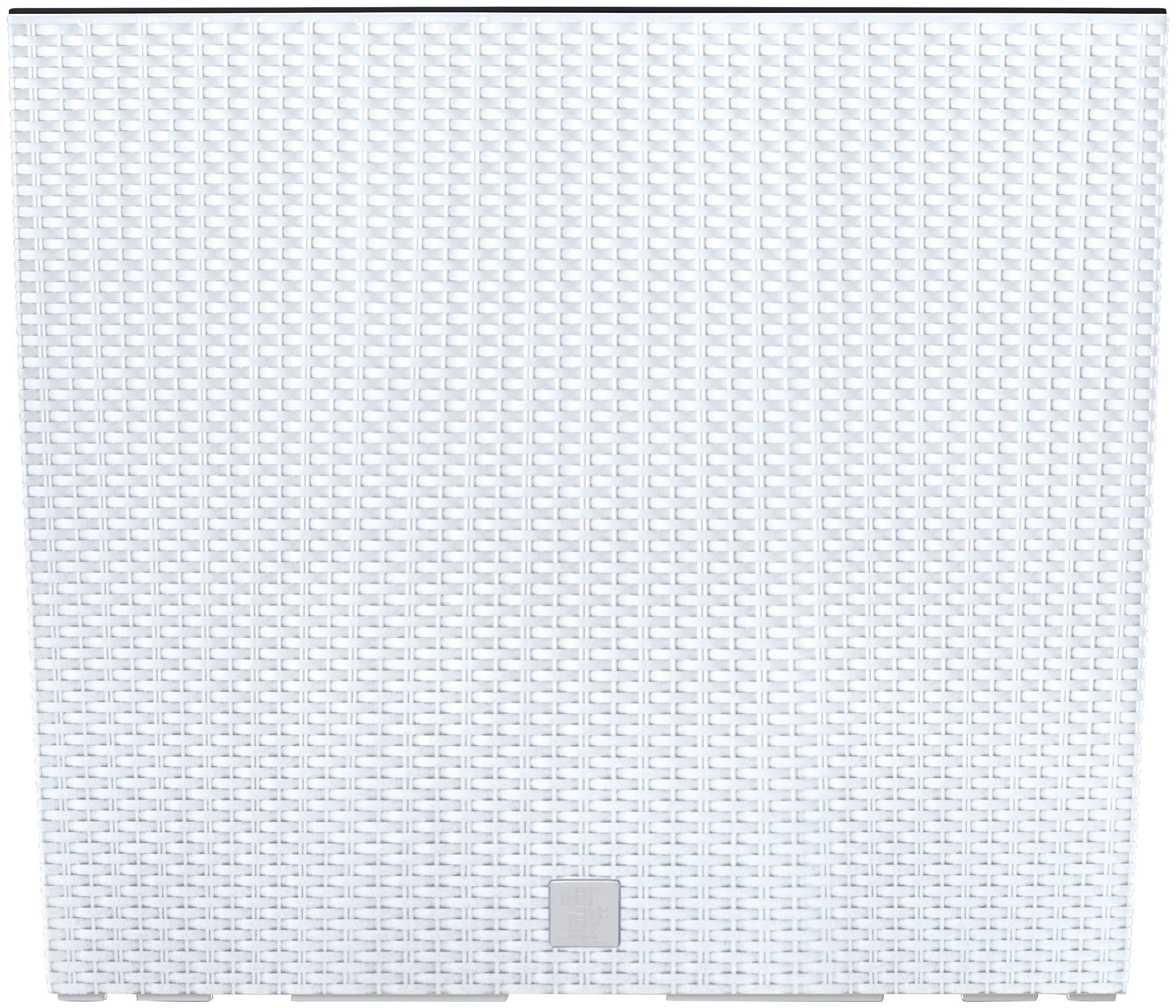 Prosperplast Blumenkasten Rato Case, BxTxH: 58x18x49,8 cm, mit Einsatz günstig online kaufen