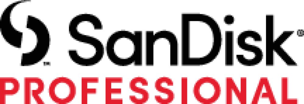 SanDisk Professional