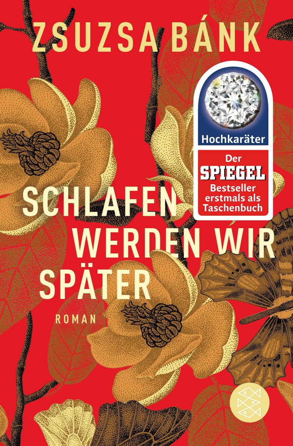 Schlafen werden wir später / Zsuzsa Bánk
