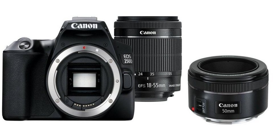 Canon EOS 250D + EF-S 18-55mm IS + EF 50mm 1,8 STM Spiegelreflexkamera