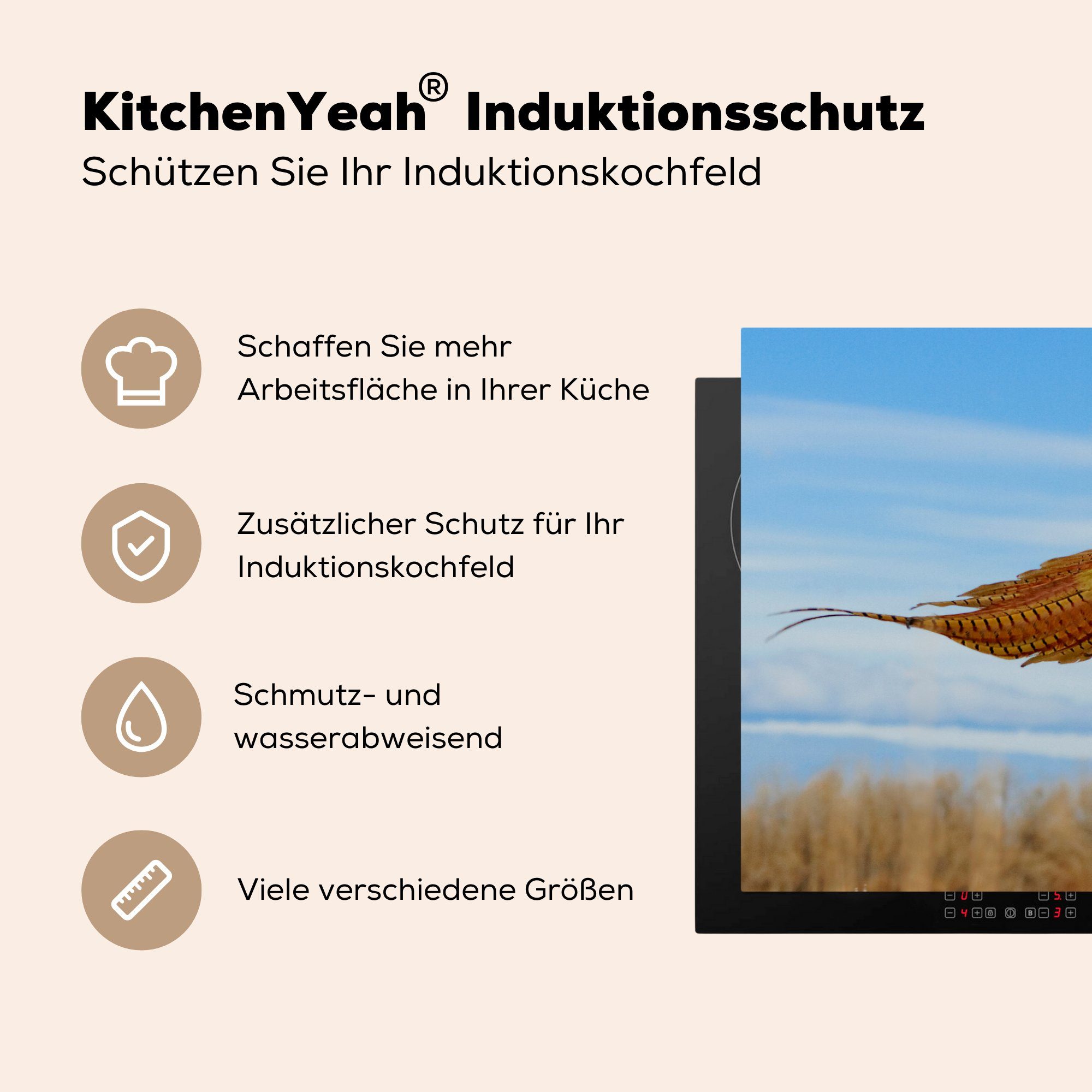 Induktionskochfeld Herdblende-/Abdeckplatte MuchoWow küche, Schutz für - - Fasan cm, 81x52 Vinyl, die Federn (1 Vogel, tlg), Ceranfeldabdeckung