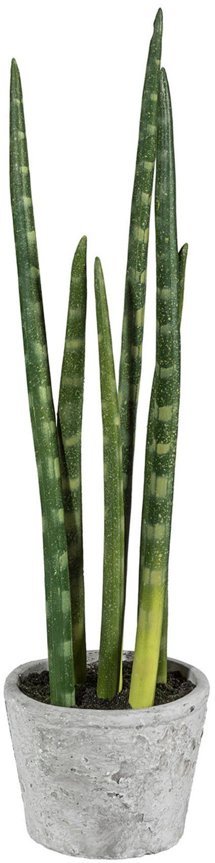 Kunstpflanze Sanseveria, Creativ green, cm 40 Höhe