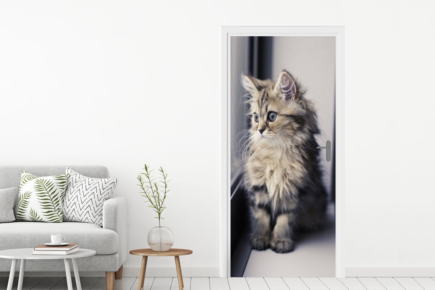 MuchoWow Türtapete Ein persisches Kätzchen dem (1 cm für St), Türaufkleber, Fenster, Fototapete aus 75x205 schaut Tür, bedruckt, Matt
