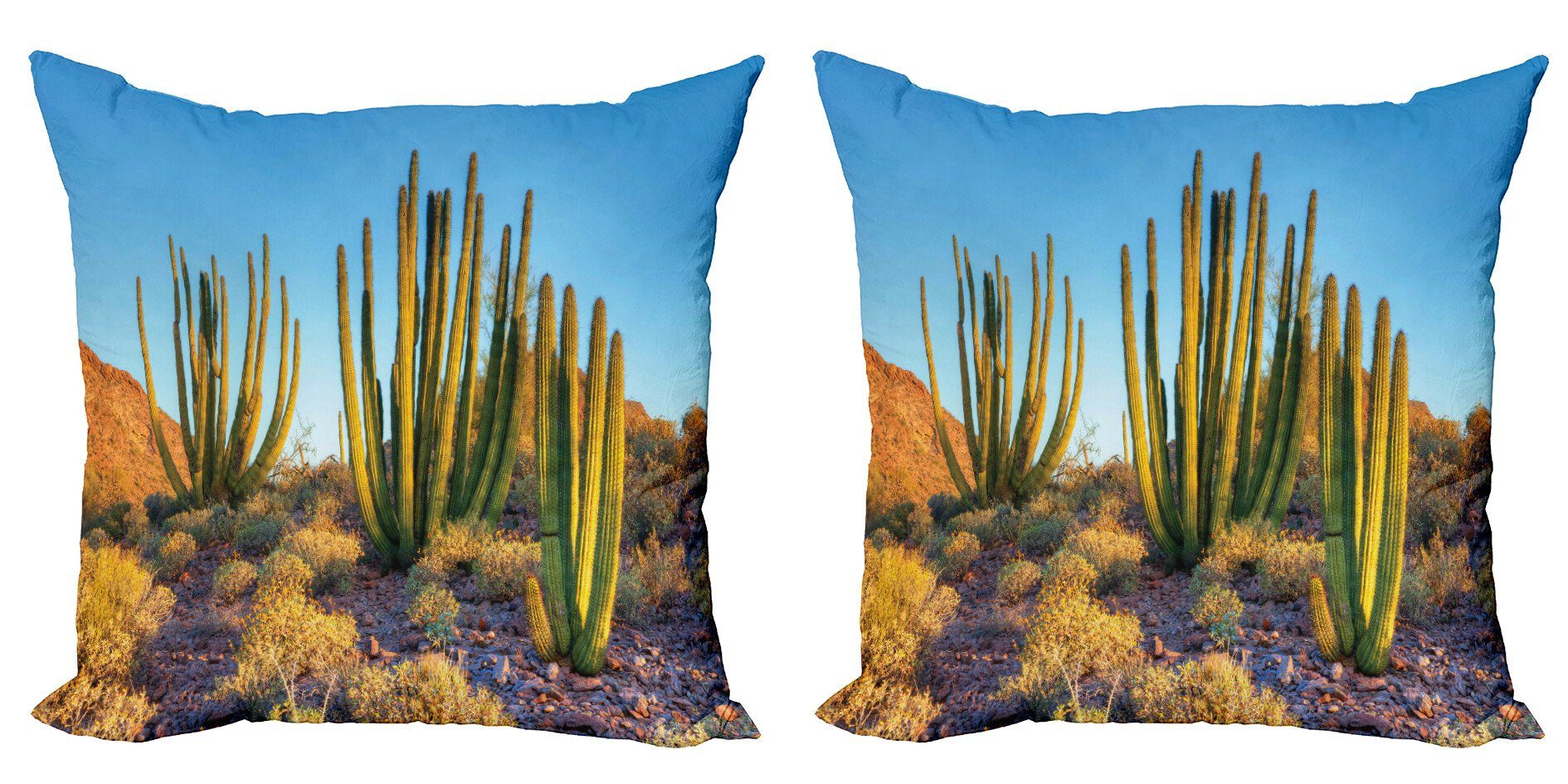 Cactus Foto Digitaldruck, Accent Stück), Modern Kissenbezüge Abakuhaus (2 Doppelseitiger Berg Kaktus