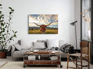 Sinus Art Leinwandbild 120x80cm Wandbild auf Leinwand Texas Longhorn Stier Bulle Tierfotograf, (1 St)