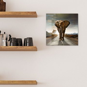 DEQORI Magnettafel 'Elefant auf Asphalt', Whiteboard Pinnwand beschreibbar