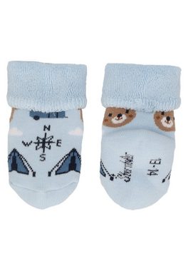 Sterntaler® Basicsocken Baby-Socke 3er Bär (3-Paar)