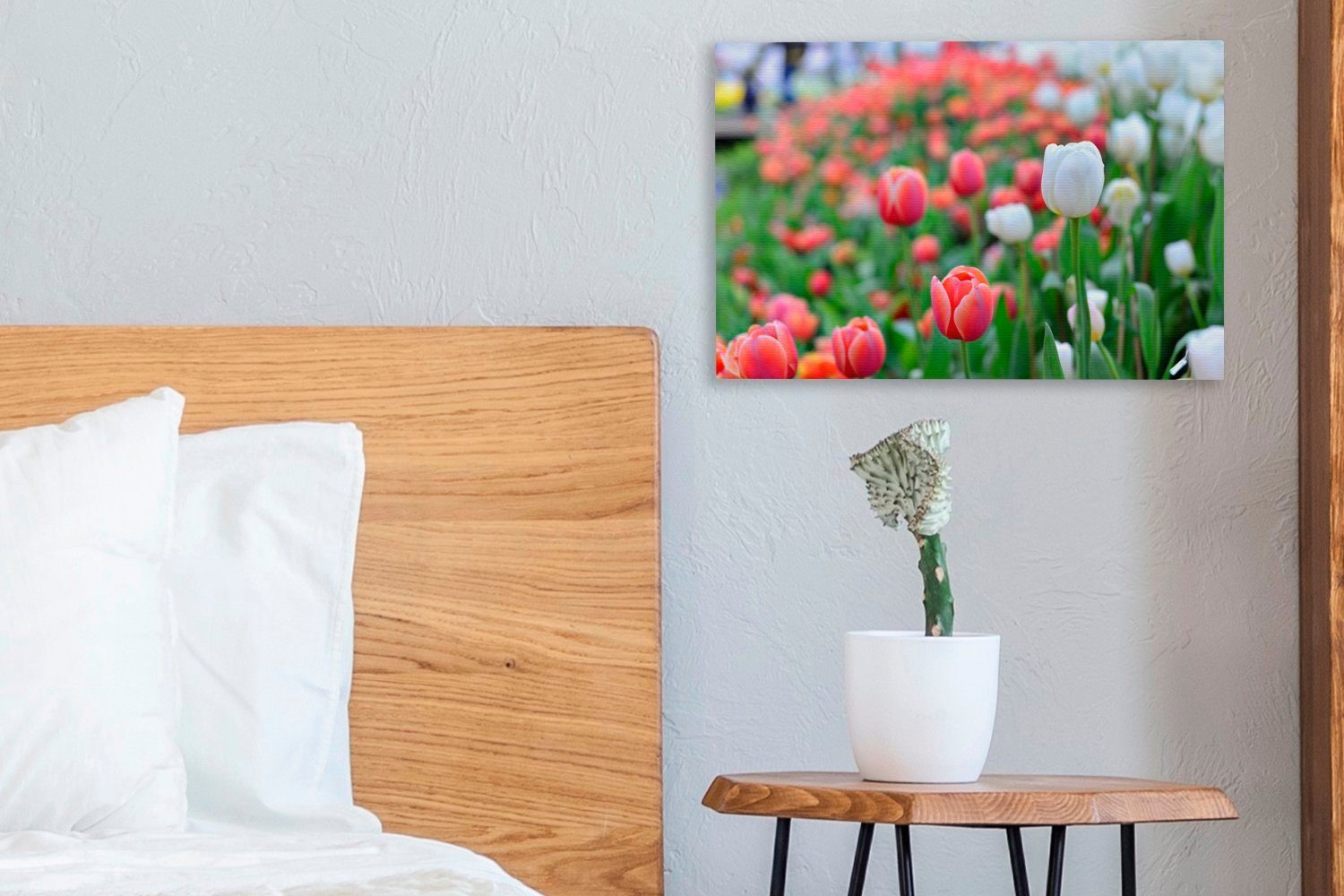 OneMillionCanvasses® Leinwandbild Eine (1 roten von cm Nahaufnahme St), 30x20 Wandbild weißen Leinwandbilder, und Tulpen, Wanddeko, Aufhängefertig