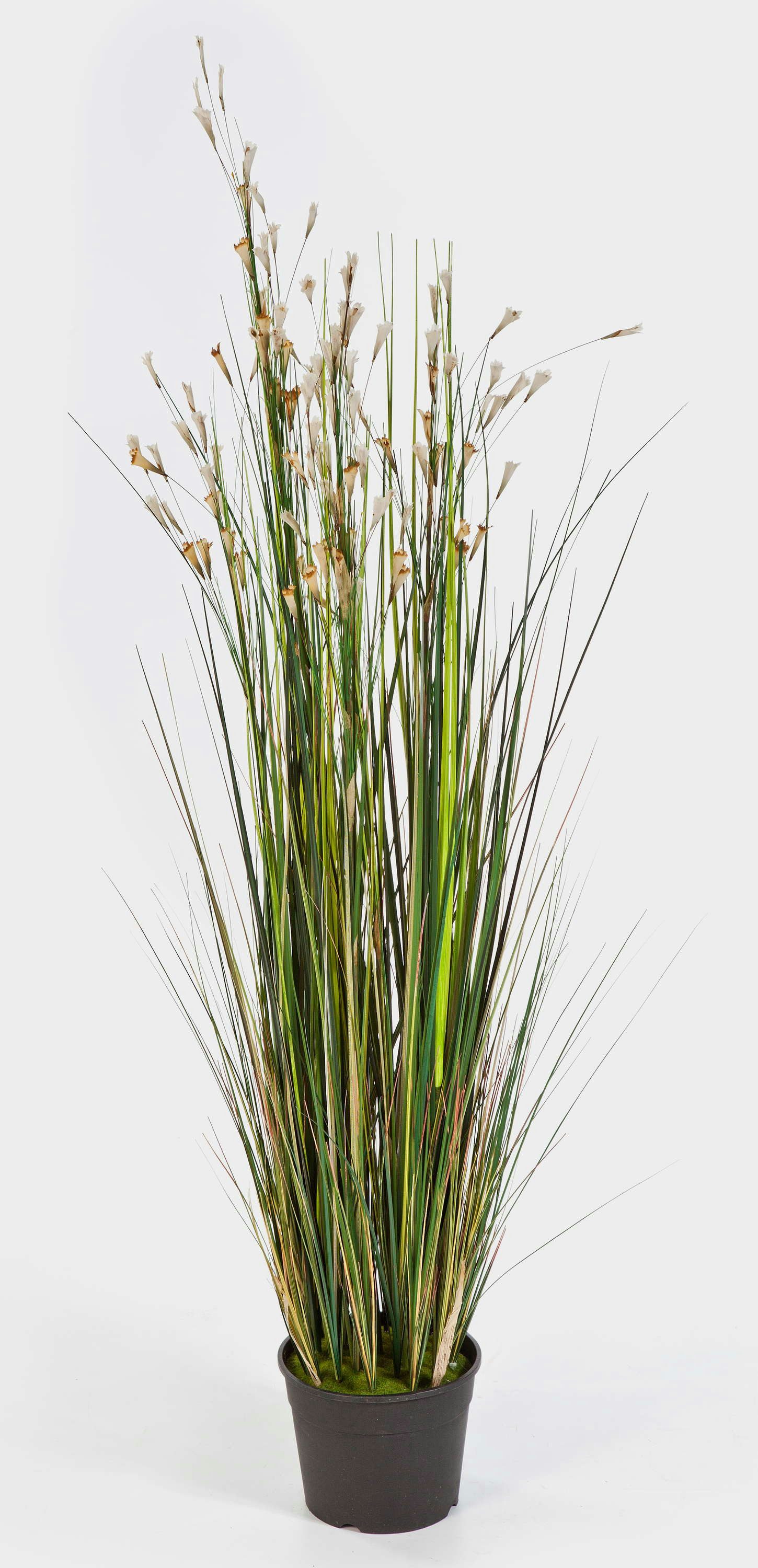 Kunstgras Künstliches Gras, 115 weiß Blüten, 700 Halmen, 120cm - Deko Grasbündel, artplants, Höhe 120.0 cm