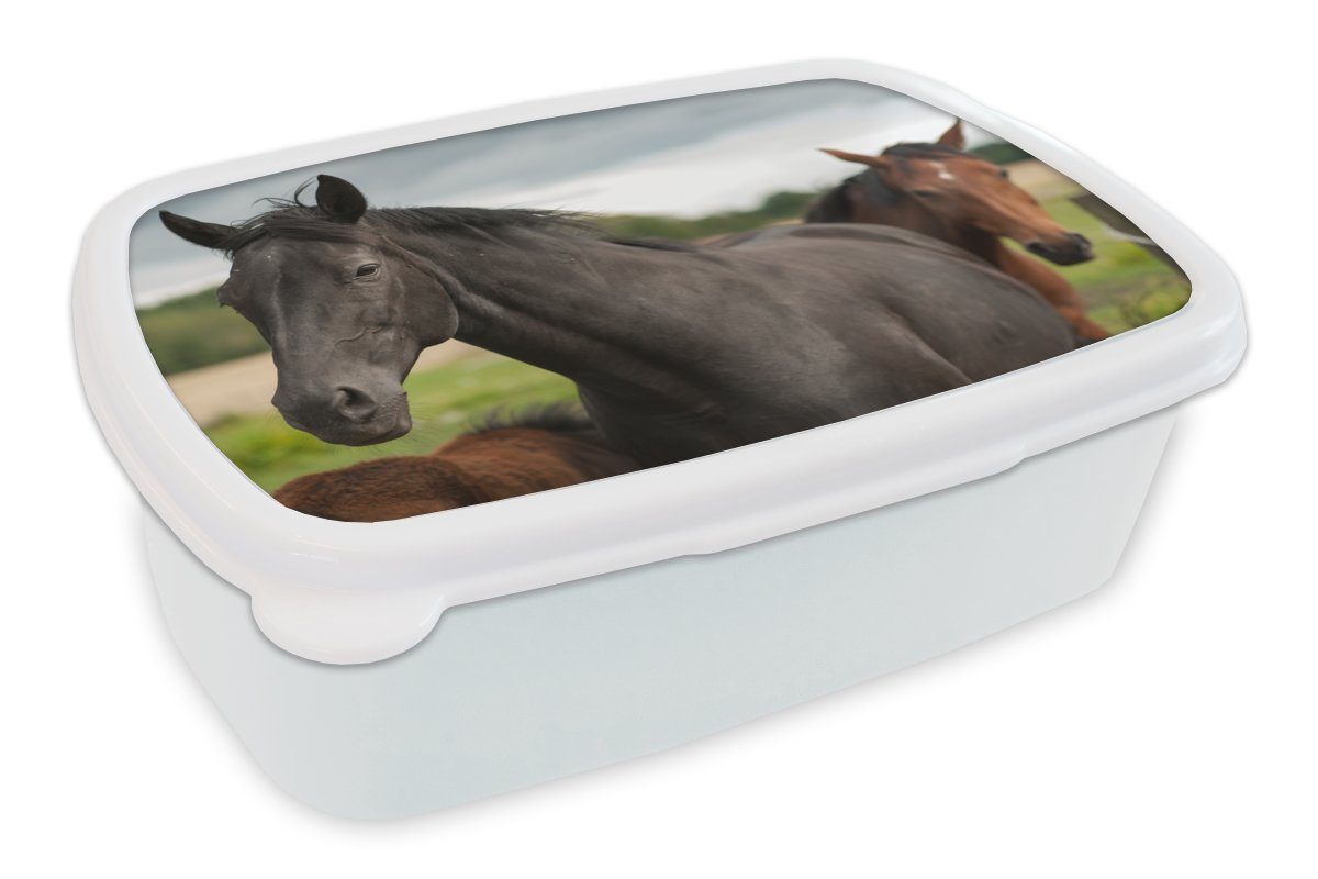 MuchoWow Lunchbox Pferde - Wiese - Schweden, Kunststoff, (2-tlg), Brotbox für Kinder und Erwachsene, Brotdose, für Jungs und Mädchen weiß