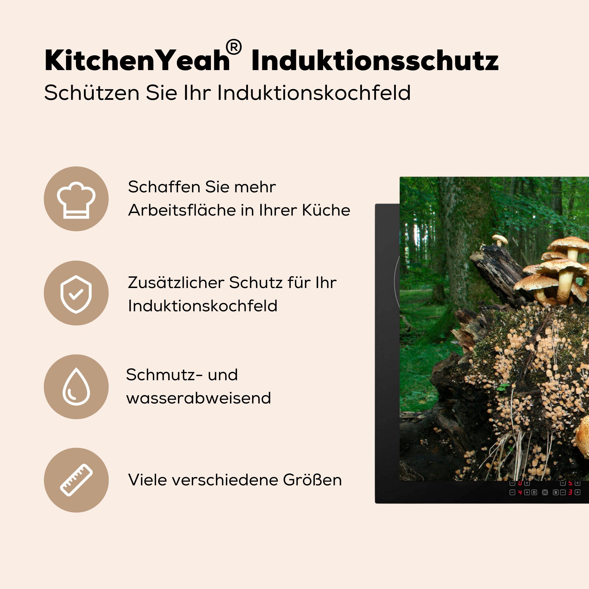 MuchoWow Herdblende-/Abdeckplatte Gruppe für 81x52 Pilzen Vinyl, cm, von küche, Wald, tlg), Schutz Ceranfeldabdeckung (1 die im Induktionskochfeld