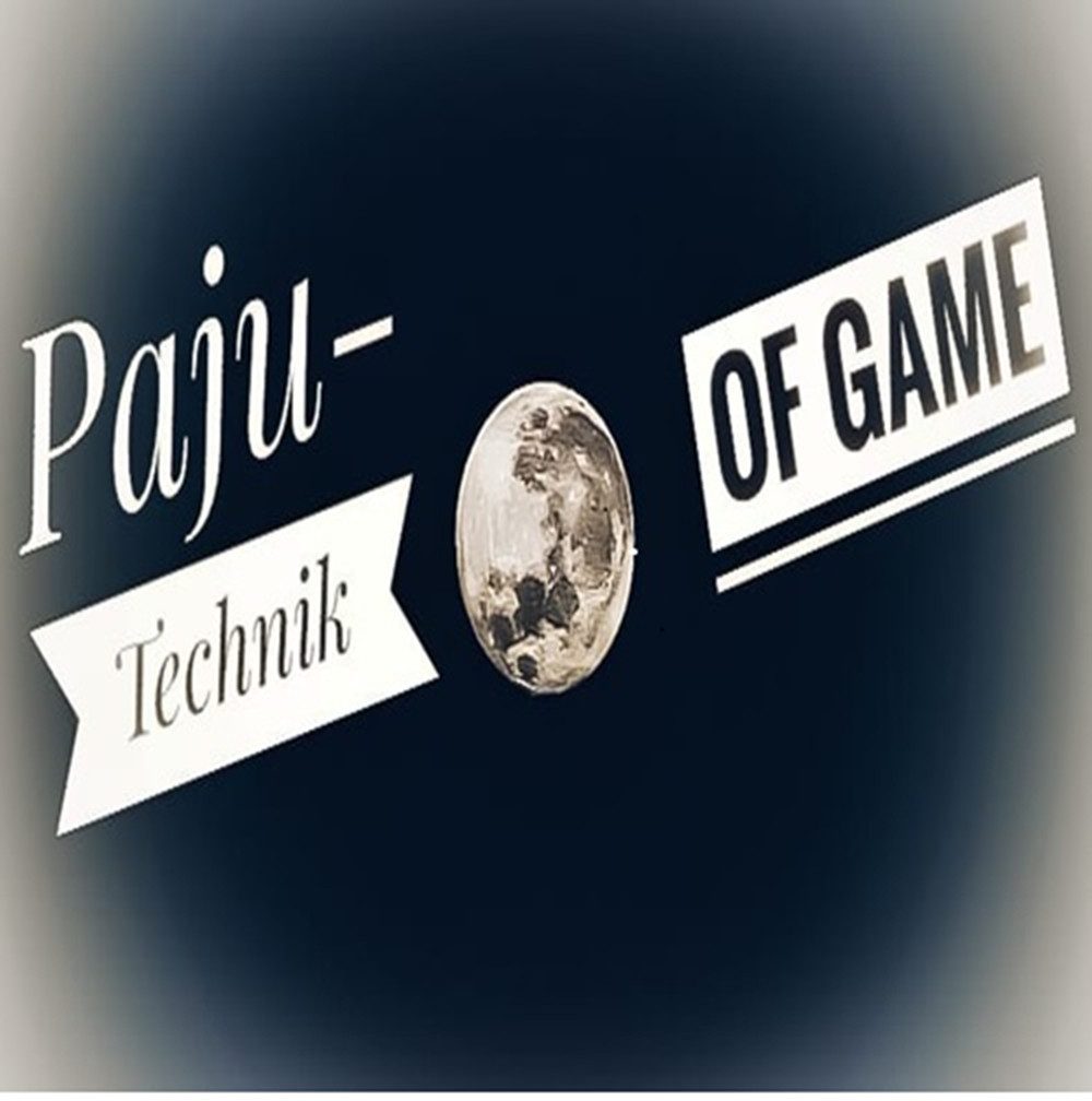 Paju-technik