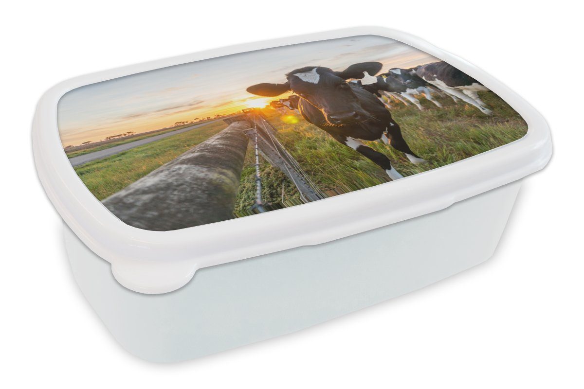 MuchoWow Lunchbox Kühe - Sonne - Zaun, Kunststoff, (2-tlg), Brotbox für Kinder und Erwachsene, Brotdose, für Jungs und Mädchen weiß