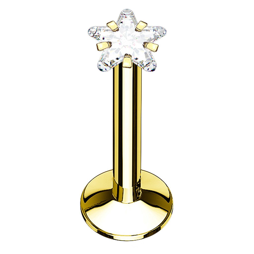 Taffstyle Piercing-Set Lippenpiercing Helix Ohrpiercing Monroe Stud Stecker Kristall Stern (Ohrpiercing Cartilage Ohr Tragus Helix Lobe Knorpel Piercing)