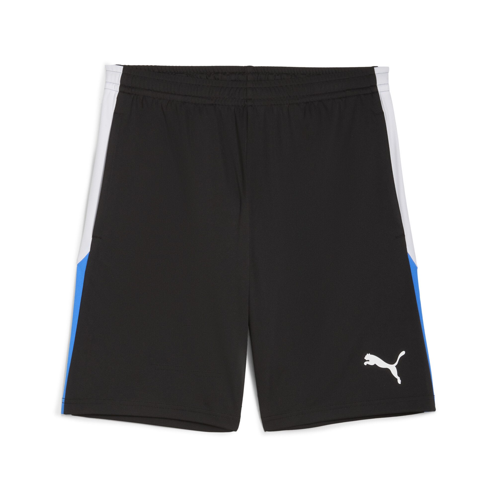 PUMA Sporthose individualLIGA Trainingsshorts Herren günstig online kaufen
