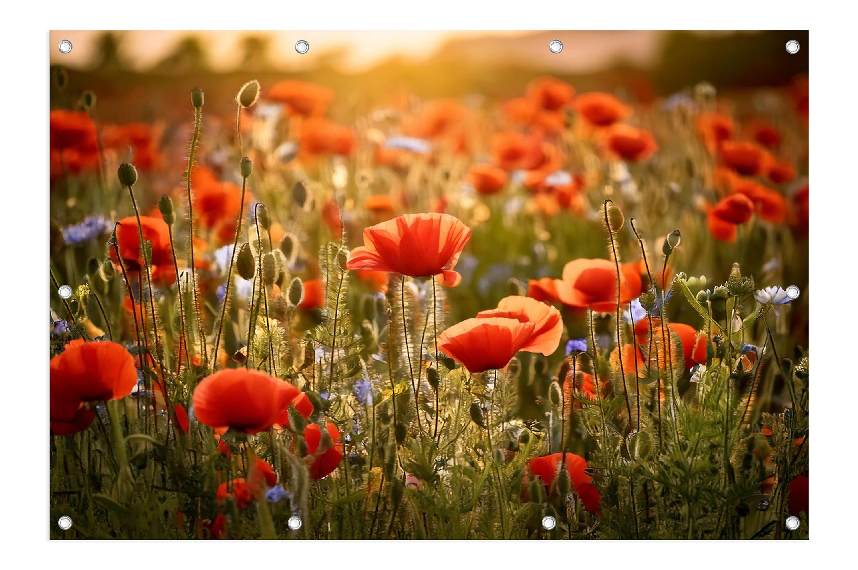artissimo Poster XXL Garten-Poster 120x80cm Blumenwiese Outdoor-Deko, Outdoor-Poster: Blumen-Wiese