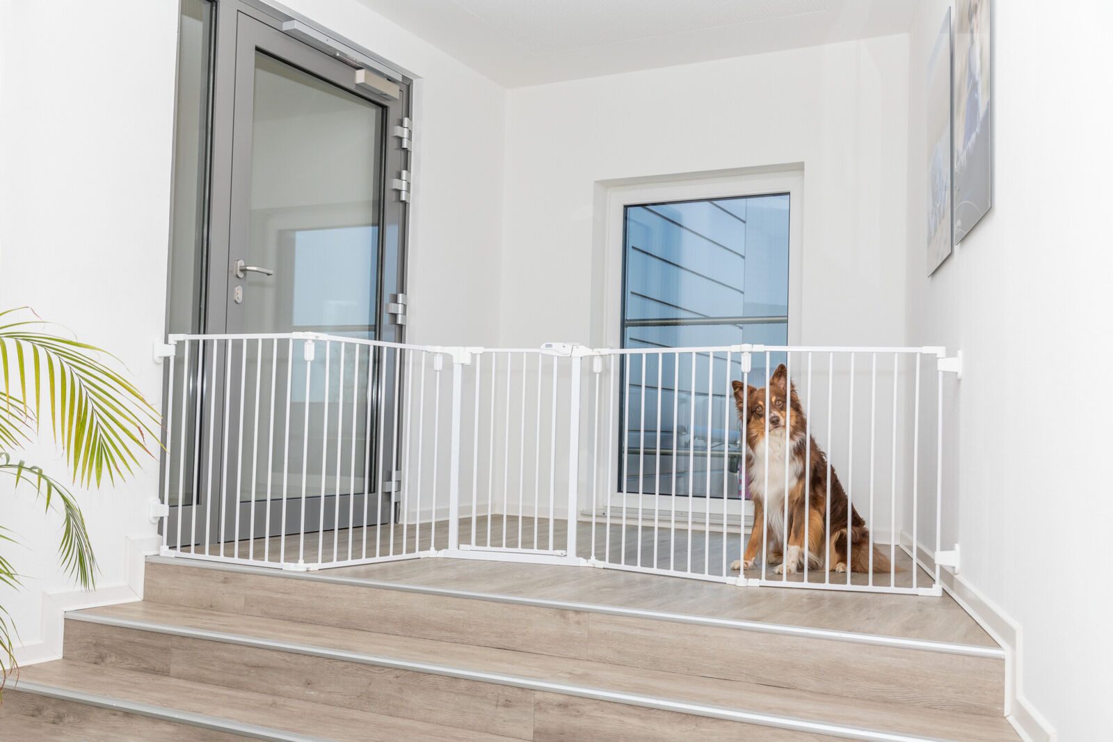TRIXIE Absperrgitter TRIXIE Hunde-Absperrgitter mit Tür, 5-teilig - diverse - 62,5–300 × 7, 300 cm