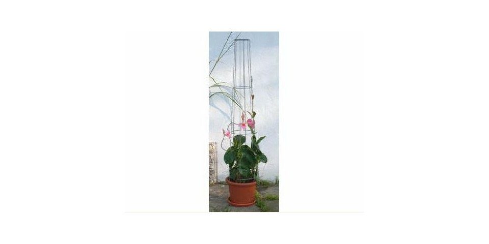 Rankhilfe Bellissa Ranksäule Aktion 130cm 130 cm hoch