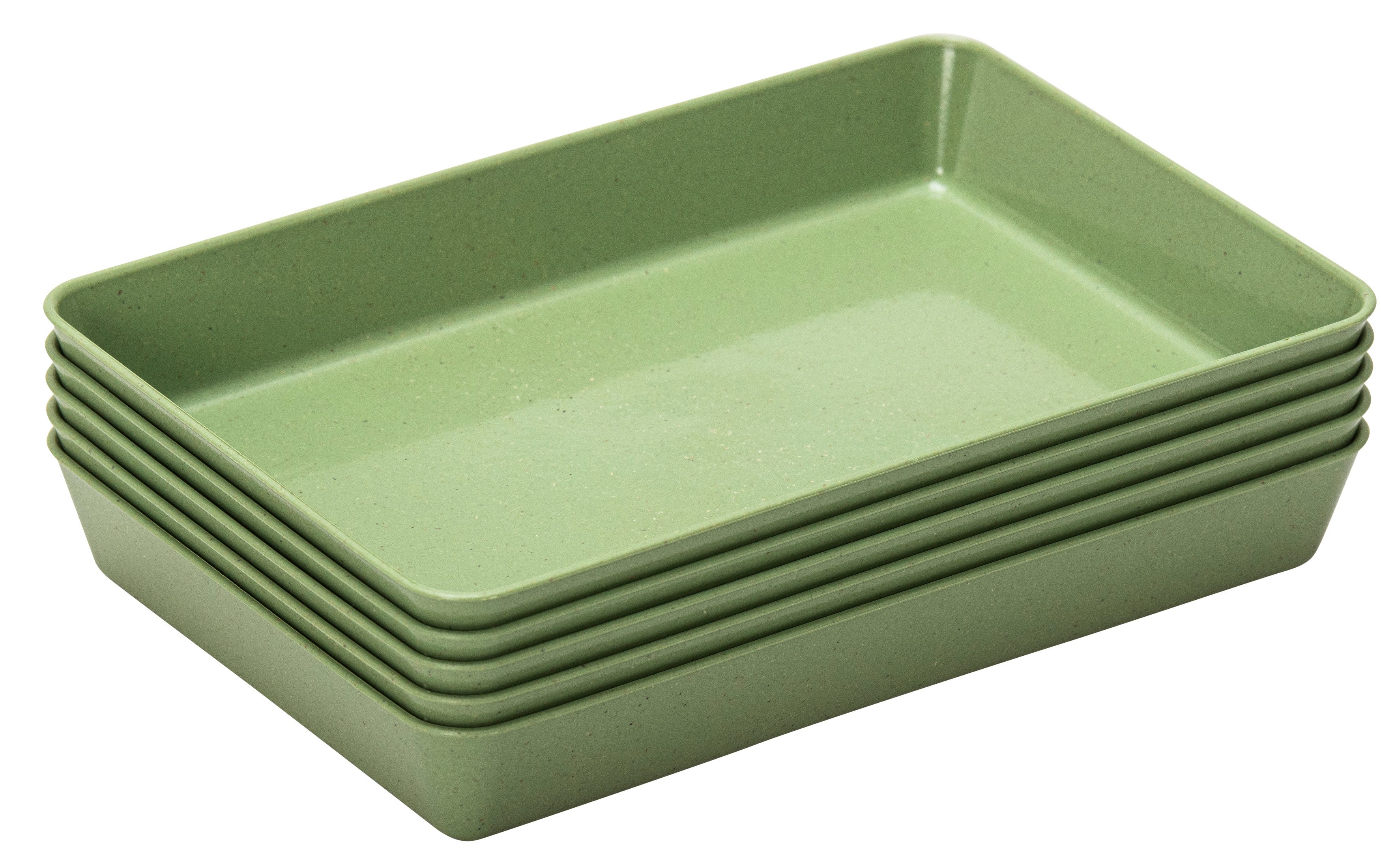 Betzold Schale Aufbewahrungsbox mit Deckel, 16 x 39,5 x 27,5 cm, Kunststoff, (5-tlg)