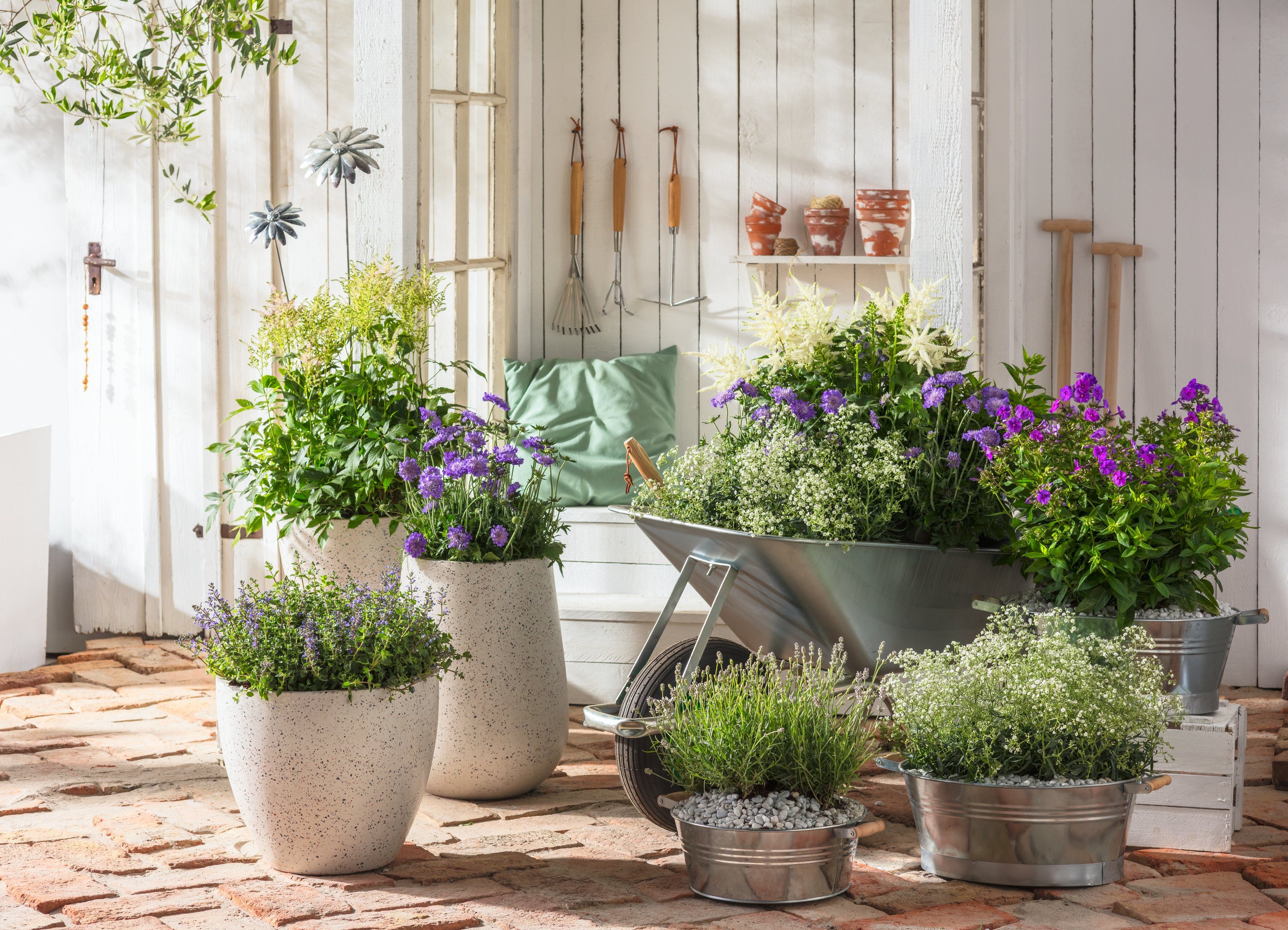 Dehner Blumentopf Pflanztöpfchen, Ø 37 cm, günstig online kaufen