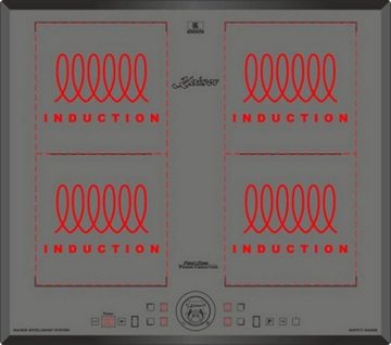 Kaiser Küchengeräte Induktions-Kochfeld, Flex Induktionskochfeld 60 cm Einbau Herd Autark