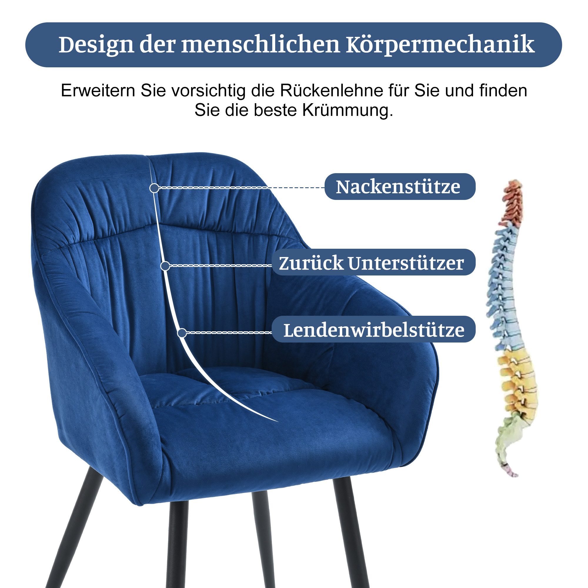 HAUSS SPOLE Esszimmerstuhl 2 St mit günstig online kaufen