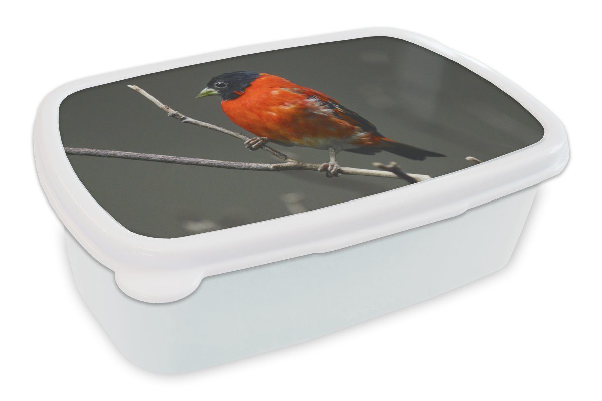 MuchoWow Lunchbox Vogel - Rot - Zweig, Kunststoff, (2-tlg), Brotbox für Kinder und Erwachsene, Brotdose, für Jungs und Mädchen weiß