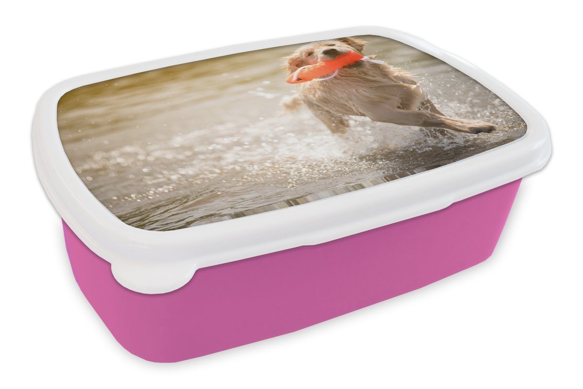 MuchoWow Lunchbox Ein reinrassiger Golden Retriever Welpe läuft im Wasser, Kunststoff, (2-tlg), Brotbox für Erwachsene, Brotdose Kinder, Snackbox, Mädchen, Kunststoff rosa