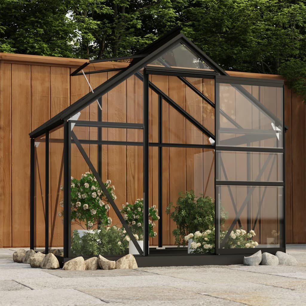furnicato Gewächshaus Glas Anthrazit 155x103x191 cm günstig online kaufen