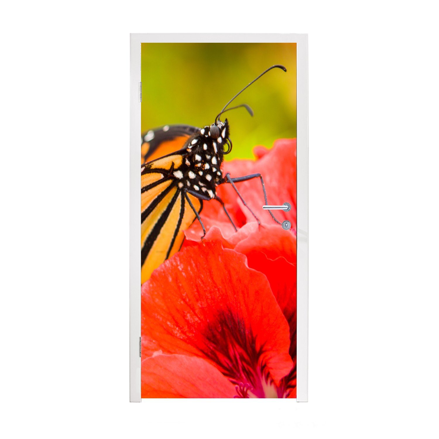 MuchoWow Türtapete Blumen - Schmetterlinge - Monarch, Matt, bedruckt, (1 St), Fototapete für Tür, Türaufkleber, 75x205 cm