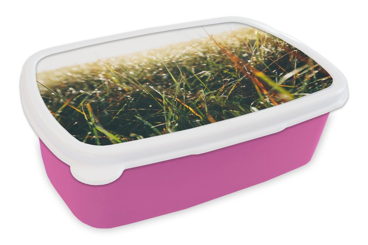 Mädchen, Rasenfläche Brotdose MuchoWow Kunststoff, Snackbox, (2-tlg), rosa Kinder, Erwachsene, Lunchbox Pampasgras, Kunststoff für - Brotbox