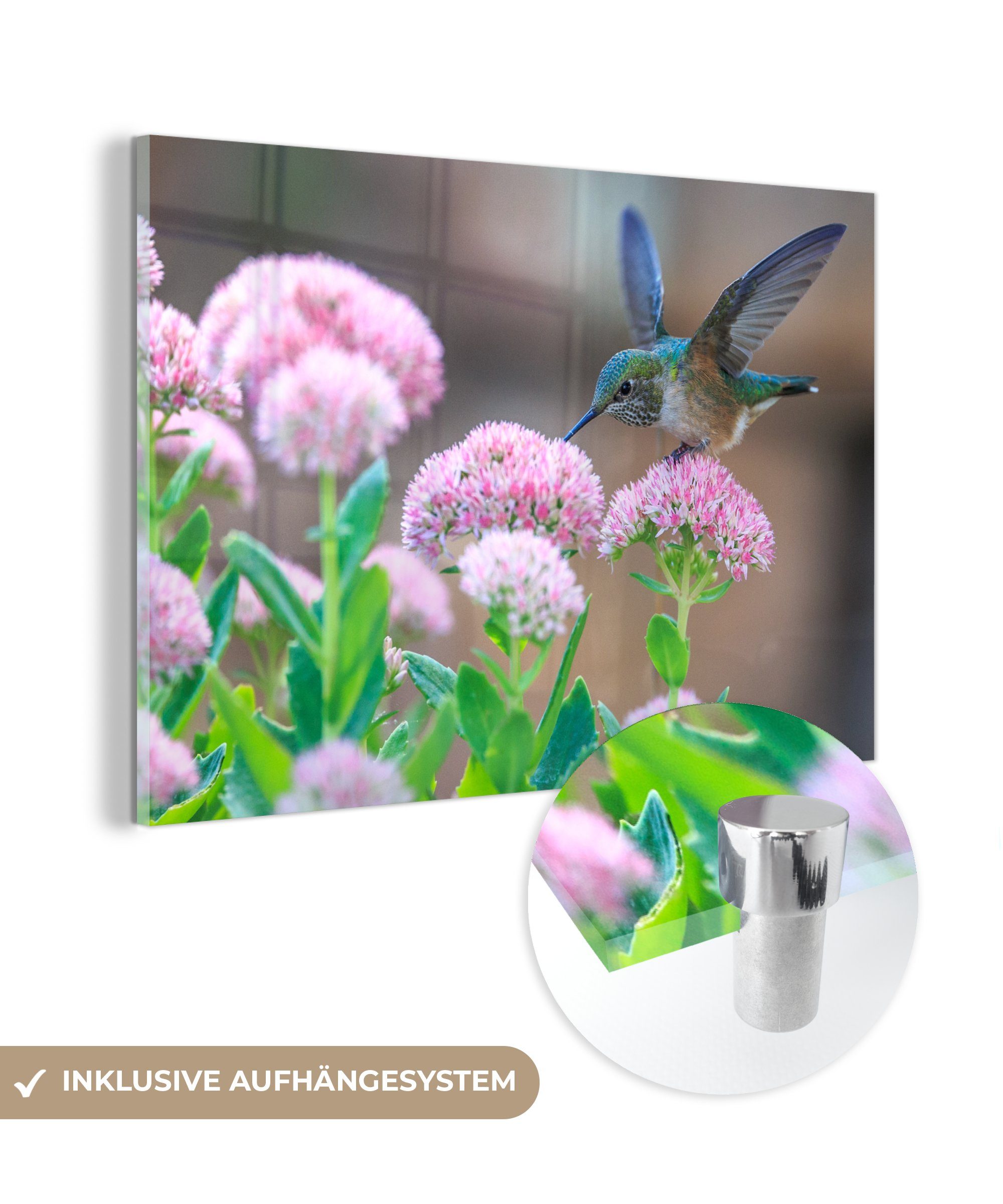 MuchoWow Acrylglasbild Blumen - Vogel - Kolibri, (1 St), Acrylglasbilder Wohnzimmer & Schlafzimmer