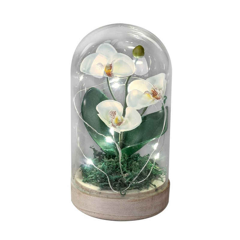 formano LED Dekolicht Dekolicht LED Orchidee, LED, Dekoleuchte Orchidee beleuchtet LED