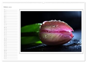 CALVENDO Wandkalender Blütenpracht, nicht nur ein Geburtstagskalender (Premium, hochwertiger DIN A2 Wandkalender 2023, Kunstdruck in Hochglanz)