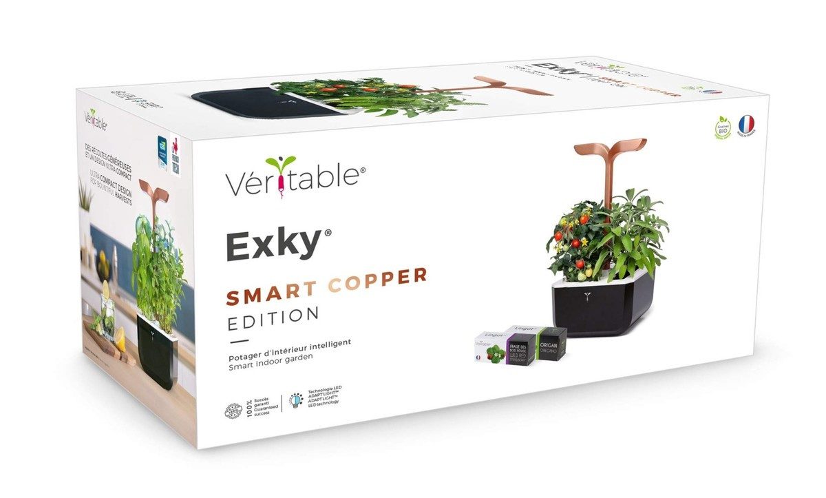 Veritable Anzuchttopf Exky SMART (1 St)