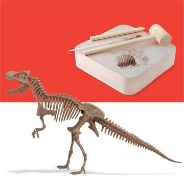 Discovery Lernspielzeug Mindblown Ausgabungsset Dinosaurier Skelet, Excavation Kit 3D Puzzle T-Rex