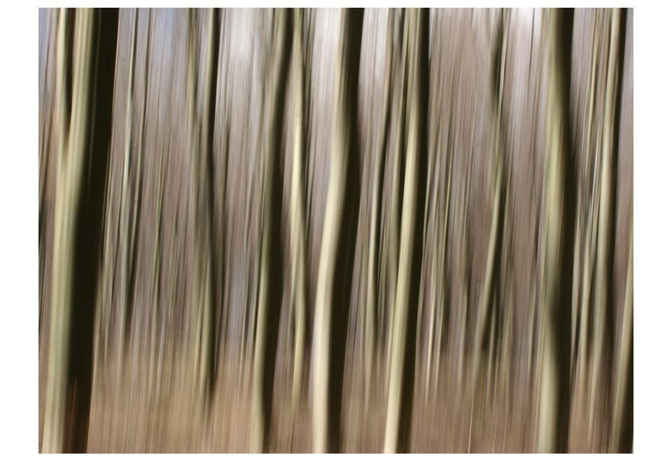 m, Vliestapete Design KUNSTLOFT lichtbeständige Tapete Forest 2x1.54 halb-matt,