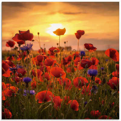 Artland Glasbild »Mohnblumen im Abendlicht«, Blumen (1 St)