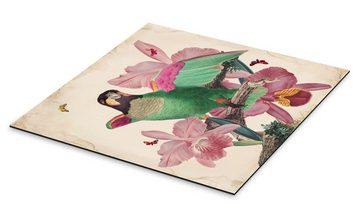 Posterlounge Alu-Dibond-Druck Mandy Reinmuth, Exotische Papageien VIII, Wohnzimmer Orientalisches Flair Malerei
