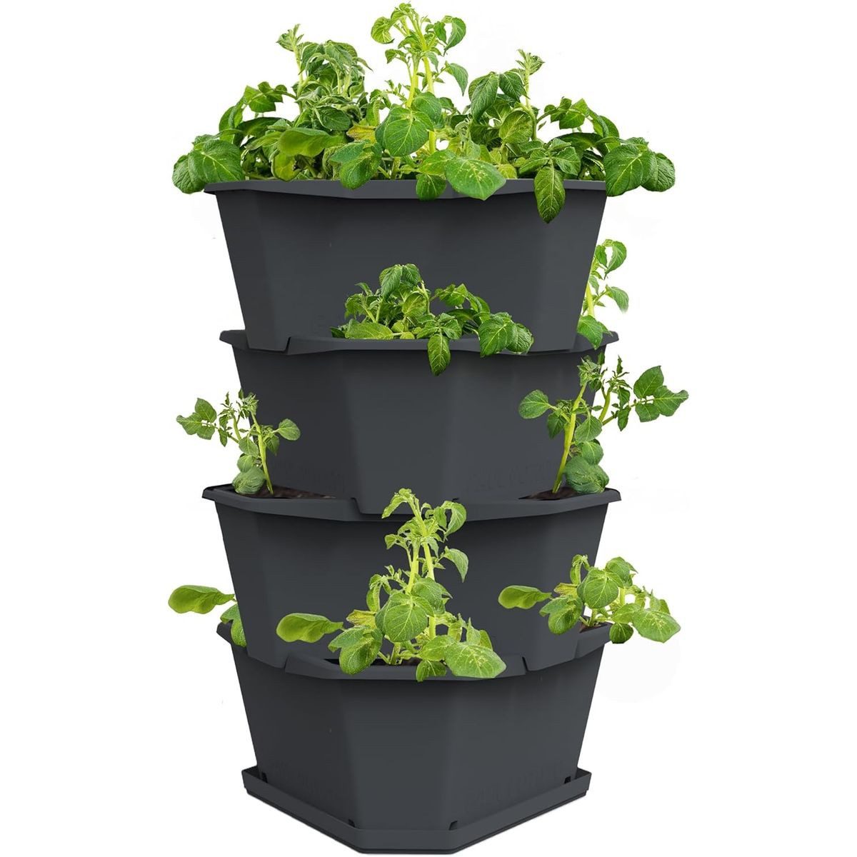 Gusta Garden Hochbeet PAUL POTATO Starter (effizienter Kartoffelanbau inkl. Schädlingsschutz), Kartoffelturm mit 4 Etagen und Untersetzer, anthrazit