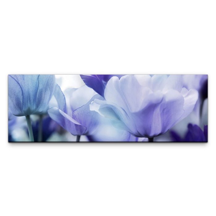 möbel-direkt.de Leinwandbild Bilder XXL Pastellblaue Blüten Wandbild auf Leinwand