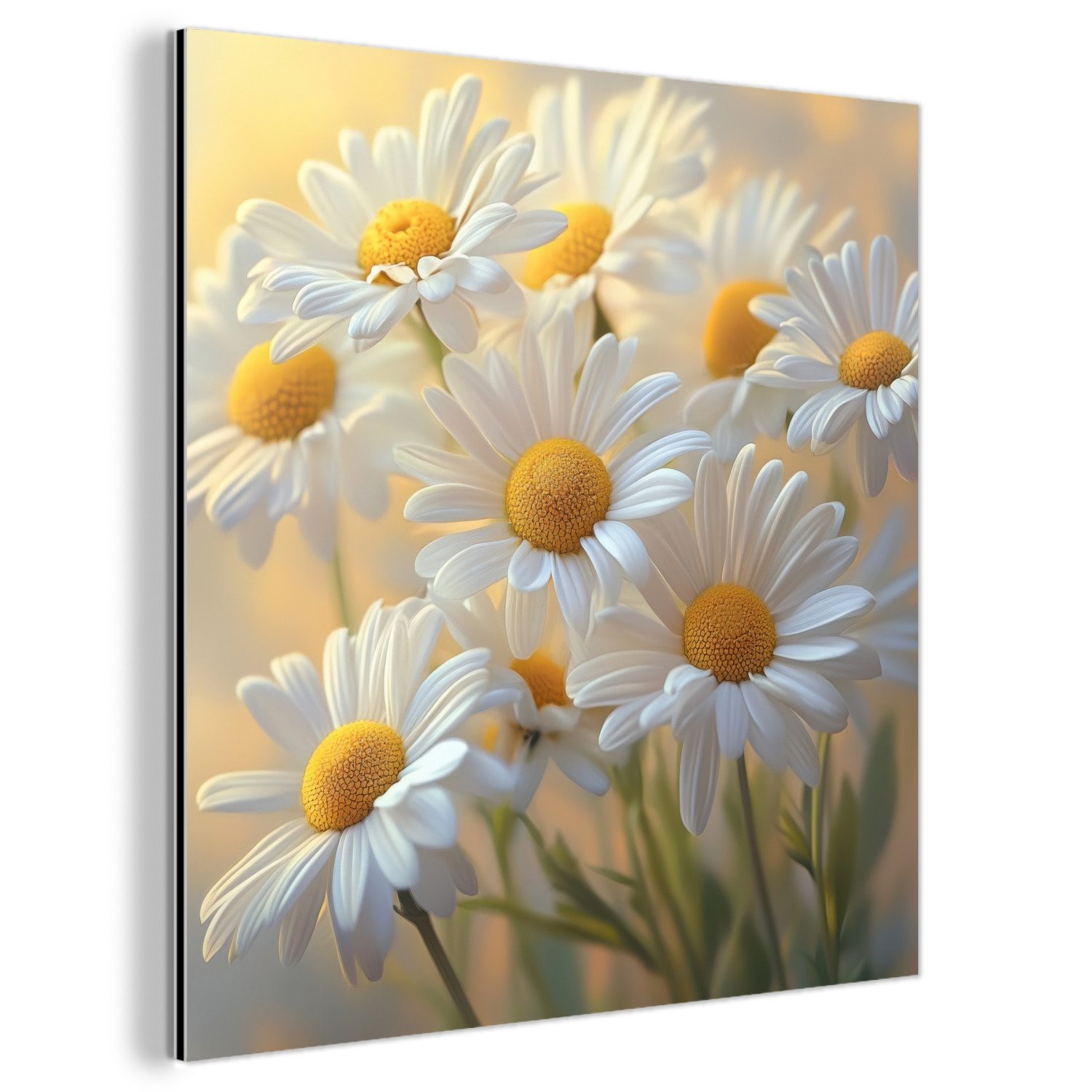 MuchoWow Metallbild Gänseblümchen - Weiß - günstig online kaufen
