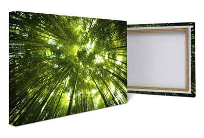 wandmotiv24 Leinwandbild Bambus Wald, Blumen und Pflanzen (1 St), Wandbild, Wanddeko, Leinwandbilder in versch. Größen