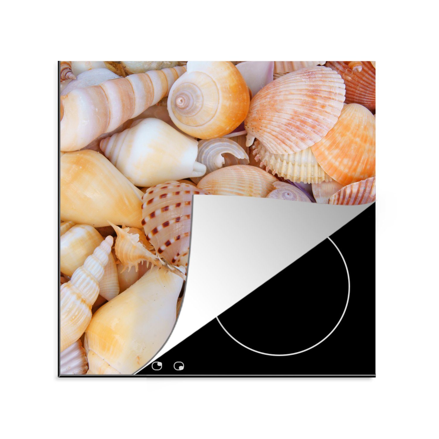MuchoWow Herdblende-/Abdeckplatte Muscheln - Strand - Sommer - Orange, Vinyl, (1 tlg), 78x78 cm, Ceranfeldabdeckung, Arbeitsplatte für küche