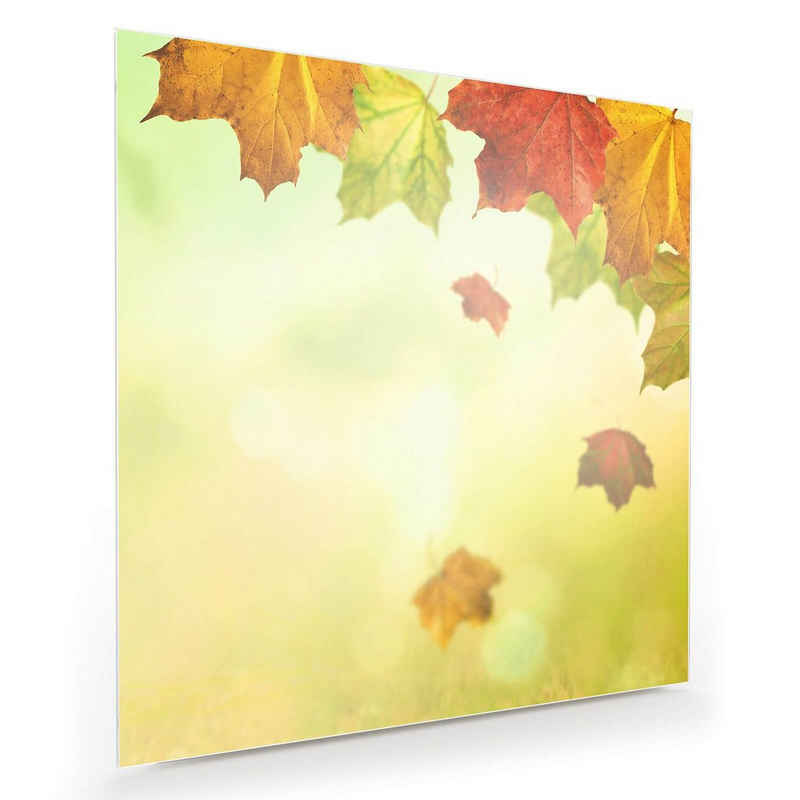 Primedeco Glasbild Wandbild Quadratisch Blätter im Sonnenlicht mit Aufhängung, Natur