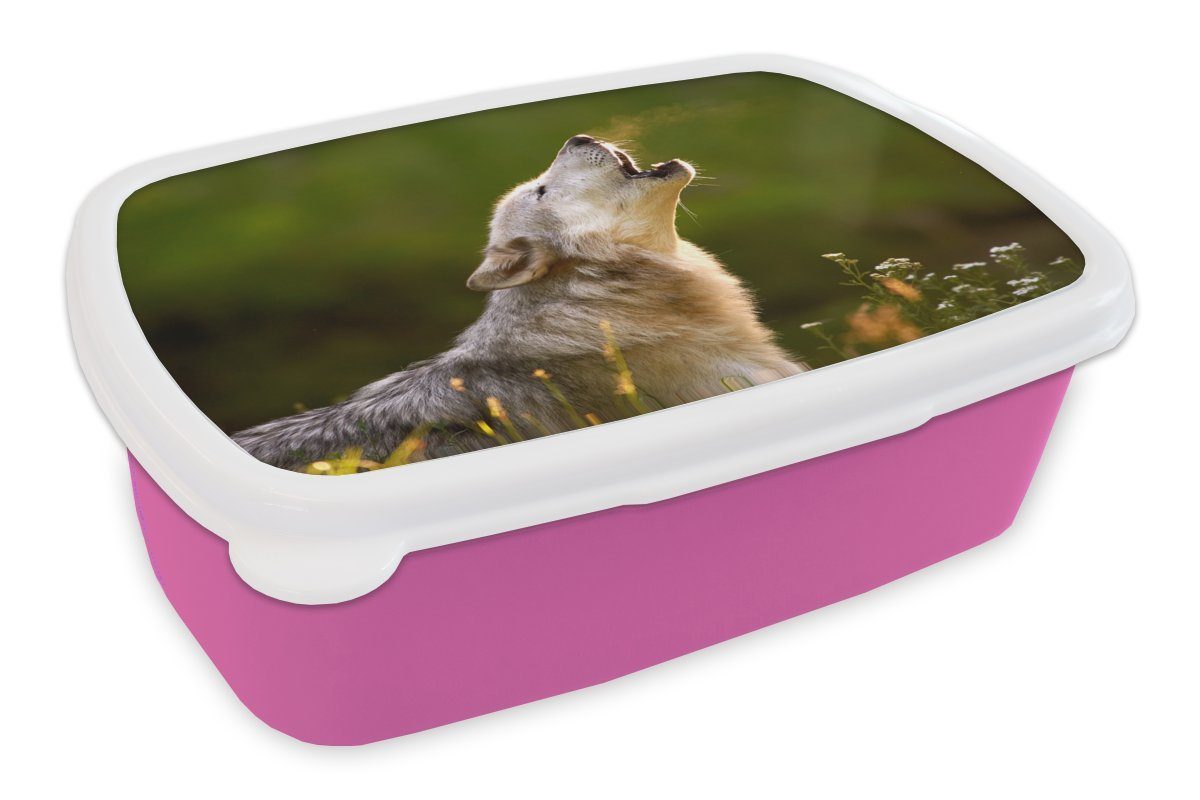 Wald Snackbox, Wolf Kinder, Mädchen, (2-tlg), Kunststoff, - Erwachsene, Natur, - für Brotbox Kunststoff rosa MuchoWow Brotdose Lunchbox