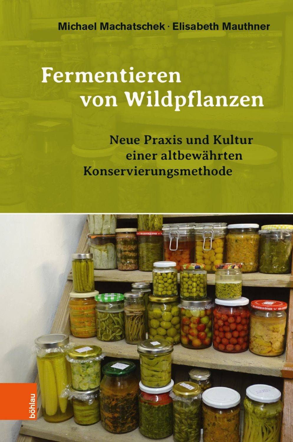 Fermentieren von Wildpflanzen / Michael Machatschek, Elisabeth Mauthner